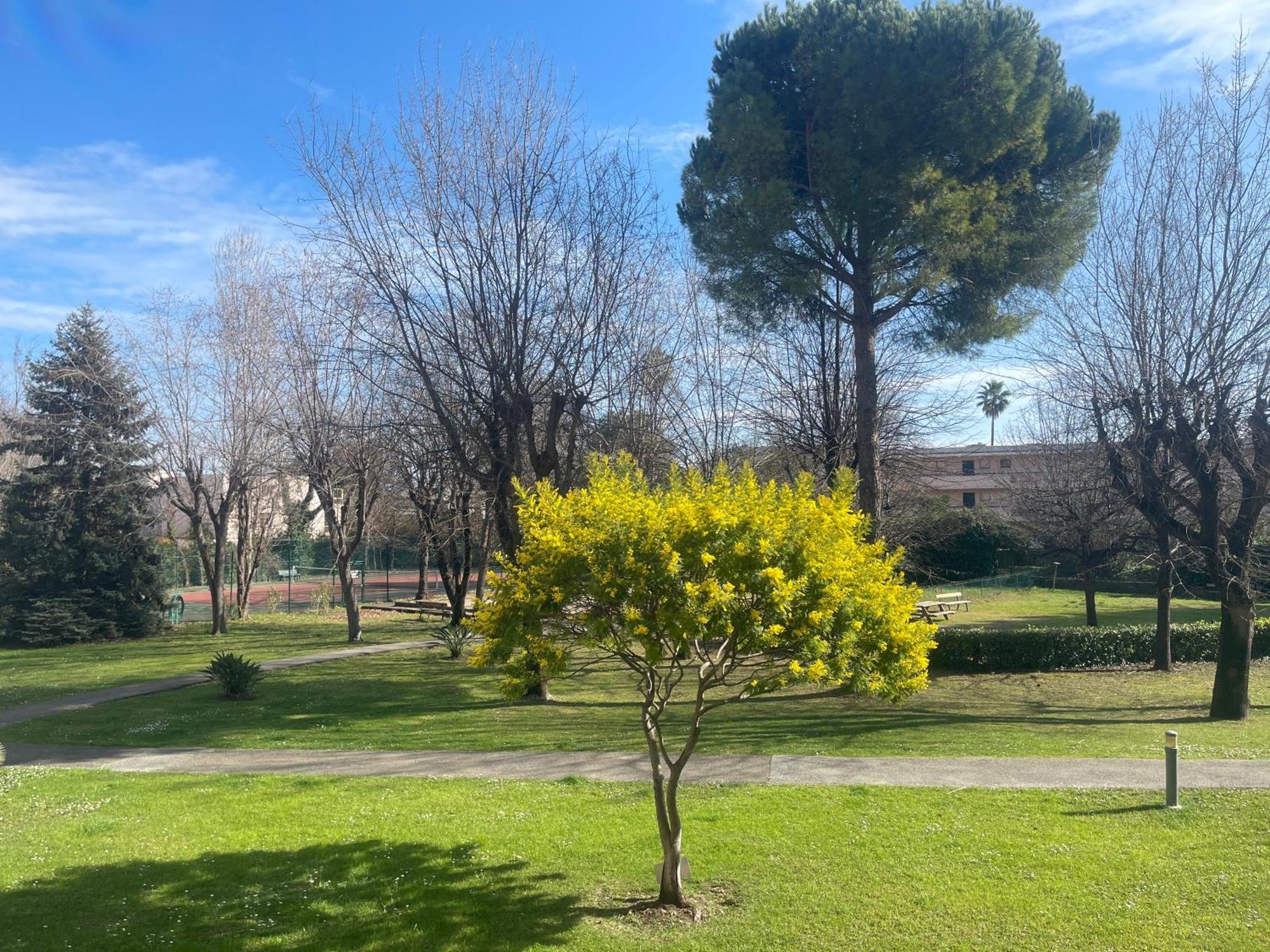 Parc Baie Des Anges Appartement *